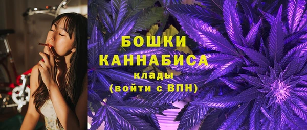 винт Вяземский